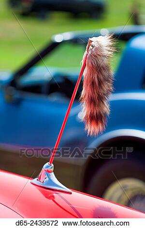 USA, Massachusetts, Cape Ann, Gloucester, Antique Car Show, 1960s-era, tiger tail attached to car antenna. View Large Photo Image Stock Image - USA, Massachusetts, Cape Ann, Gloucester, Antique Car Show, 1960s-era, tiger tail attached to car antenna.. Fotosearch