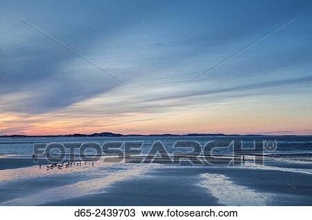 USA, Massachusetts, Cape Ann, Gloucester, Annisquam beach, dusk. View Large Photo Image Stock Image - USA, Massachusetts, Cape Ann, Gloucester, Annisquam beach, dusk.. Fotosearch