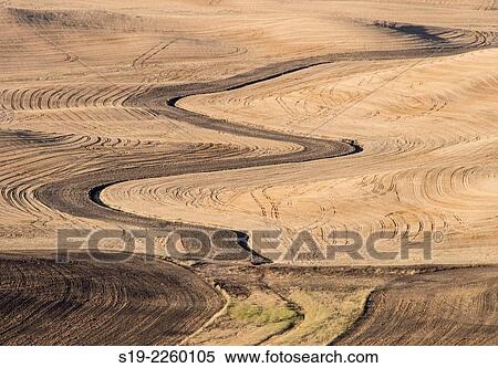 Stock Photography - USA, Washington State, Palouse, Golden fields. Fotosearch