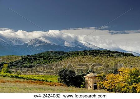 Veruela vineyard with Moncayo pic background. Tarazona and Moncayo region, Aragon, Spain. View Large Photo Image Stock Image - Veruela vineyard with Moncayo pic background. Tarazona and Moncayo region, Aragon, Spain.. Fotosearch