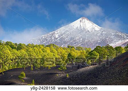Stock Photo - View of Teide Volcano Mount, Tenerife, Canary Islands, Spain.. Fotosearch