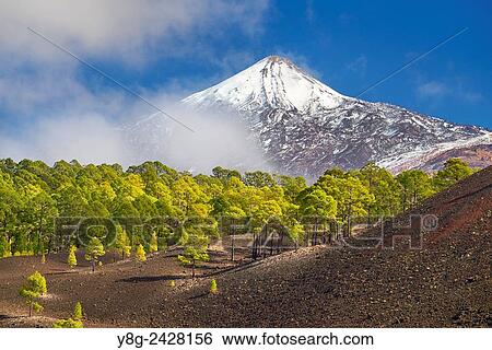 Stock Photograph - View of Teide Volcano Mount, Tenerife, Canary Islands, Spain.. Fotosearch