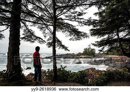 Wild Pacific Trail - Ucluelet, Vancouver Island, British Columbia, Canada. View Large Photo Image Stock Photograph - Wild Pacific Trail - Ucluelet, Vancouver Island, British Columbia, Canada.. Fotosearch
