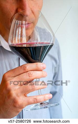 Wine taster smelling a glass of red wine. Close view. View Large Photo Image Stock Photograph - Wine taster smelling a glass of red wine. Close view.. Fotosearch