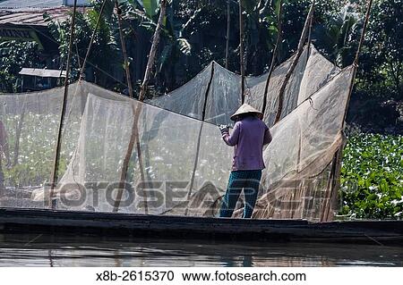 Stock Image - Woman checking fish nets on Binh Thanh Island at Sadec, Mekong River Delta, Vietnam.. Fotosearch