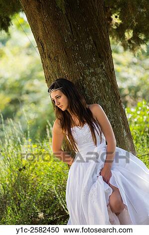 Stock Image - Young bride behind tree exposing leg. Fotosearch