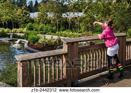 Young girl throwing a rock from a small bridge in Vancouver, Canada. View Large Photo Image Stock Image - Young girl throwing a rock from a small bridge in Vancouver, Canada.. Fotosearch