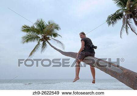 Stock Photo - Young woman with the camera sitting on a palm tree, Hikkaduwa, Sri Lanka, South Asia.. Fotosearch