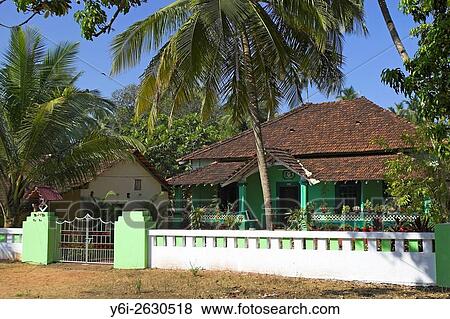 Attractive green single storey tiled house with palm trees and potted tropical plants Goa India. View Large Photo Image Stock Photo - Attractive green single storey tiled house with palm trees and potted tropical plants Goa India.. Fotosearch