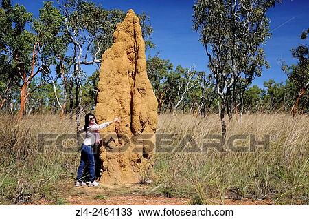 Stock Image - Australia, Northern Territory, Kakadu National Park listed as World Heritage by UNESCO, cathedral termite mound, Model Released.. Fotosearch