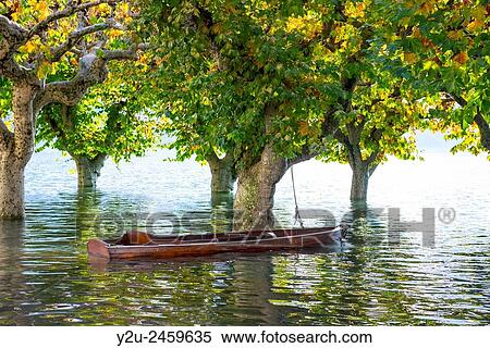 Stock Photography - Boat on a flooding alpine lake Maggiore with trees in Ascona, Switzerland.. Fotosearch