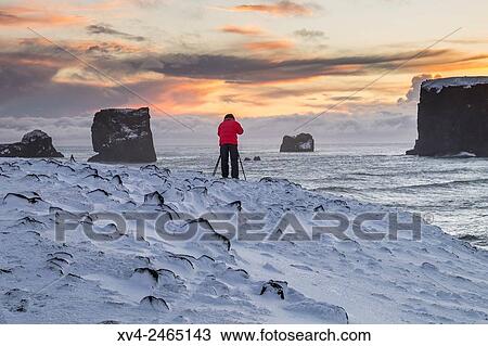 Stock Image - Dyrholaey coastline, Iceland.. Fotosearch