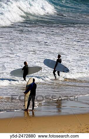 Europe, Portugal, Southern Portugal, Algarve region, Faro district, Sagres, Mareta beach - Praia da Mareta, surfers entering waters of Atlantic Ocean, Costa Vicentina, South West Alentejo and Vicentine Coast Natural Park View Large Photo Image Stock Image - Europe, Portugal, Southern Portugal, Algarve region, Faro district, Sagres, Mareta beach - Praia da Mareta, surfers entering waters of Atlantic Ocean, Costa Vicentina, South West Alentejo and Vicentine Coast Natural Park. Fotosearch