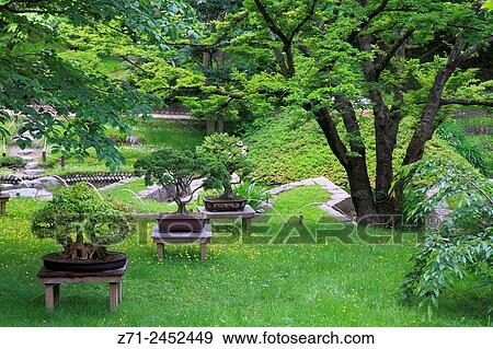 Stock Photo - France, Paris, Albert Kahn Museum, Japanese garden.. Fotosearch