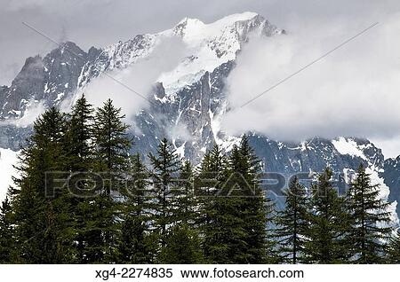 Italia, Val dAosta, Alpes, Mont Blanc massif, Trees against rocky mountains View Large Photo Image Stock Photography - Italia, Val dAosta, Alpes, Mont Blanc massif, Trees against rocky mountains. Fotosearch