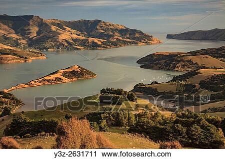 Last light on Akaroa harbour, Banks Peninsula, near Christchruch, Canterbury. View Large Photo Image Stock Image - Last light on Akaroa harbour, Banks Peninsula, near Christchruch, Canterbury.. Fotosearch