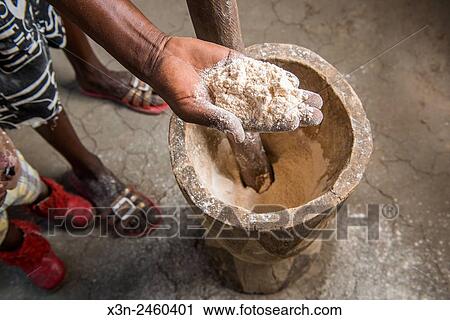 Maun, Botswana, Africa- Womans hand showing sorghum meal after pounding with a mortar and pestle in Sexaxa Village. View Large Photo Image Stock Image - Maun, Botswana, Africa- Womans hand showing sorghum meal after pounding with a mortar and pestle in Sexaxa Village.. Fotosearch