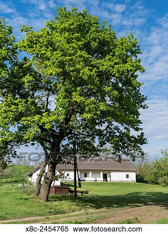 Meggyes Csarda, Hortobagy National Park. Csarda is the traditional hungarian term for country inn or tavern. This csarda is now a museum of the NP Hortobagy. Europe, Eastern Europe, Hungary, April. View Large Photo Image Stock Photography - Meggyes Csarda, Hortobagy National Park. Csarda is the traditional hungarian term for country inn or tavern. This csarda is now a museum of the NP Hortobagy. Europe, Eastern Europe, Hungary, April.. Fotosearch