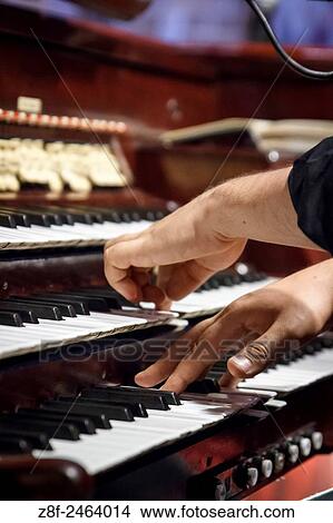 Metropolitan Cathedral Basilica of the Immaculate Conception. Pipe organ. Medellin, Colombia. Esteban Giraldo Organist. View Large Photo Image Picture - Metropolitan Cathedral Basilica of the Immaculate Conception. Pipe organ. Medellin, Colombia. Esteban Giraldo Organist.. Fotosearch