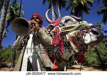 Musician Kankaya with 400 kilogram costumed bull Santos in Mandrem Goa India. View Large Photo Image Stock Photo - Musician Kankaya with 400 kilogram costumed bull Santos in Mandrem Goa India.. Fotosearch