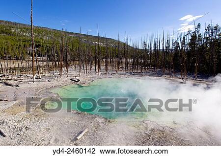 Norris Geyser Basin, Yellowstone National Park, Idaho, Montana and Wyoming, USA. View Large Photo Image Stock Image - Norris Geyser Basin, Yellowstone National Park, Idaho, Montana and Wyoming, USA.. Fotosearch