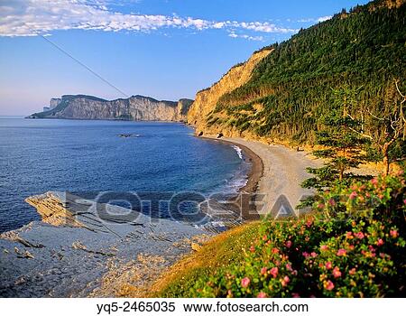 North America, Canada, Quebec, Gaspe Peninsula, Forillon National Park, Appalachian Mountains. View Large Photo Image Stock Photography - North America, Canada, Quebec, Gaspe Peninsula, Forillon National Park, Appalachian Mountains.. Fotosearch