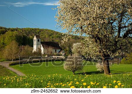 Stock Image - Spring afternoon in Ziefen, canton Basel-Country, Switzerland.. Fotosearch