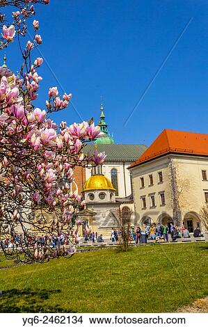 Picture - Spring garden at Krakows Royal Wawel Castle with Wawel Cathedral in the background, Krakow, Poland, Europe.. Fotosearch