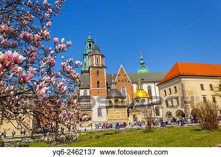 Stock Photo - Spring garden at Krakows Royal Wawel Castle with Wawel Cathedral in the background, Krakow, Poland, Europe.. Fotosearch