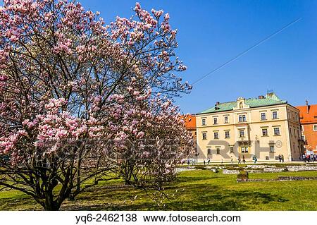 Stock Photo - Spring garden at Krakows Royal Wawel Castle with Wawel Cathedral in the background, Krakow, Poland, Europe.. Fotosearch