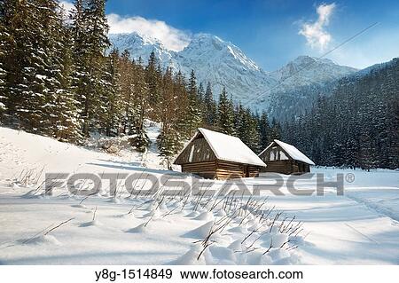 Stock Photo - Strazyska Glade, Tatra National Park, Poland, Europe. Fotosearch