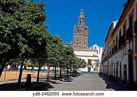 Typical of Santa Cruz with Girald background in Seville, Spain. View Large Photo Image Stock Image - Typical of Santa Cruz with Girald background in Seville, Spain.. Fotosearch