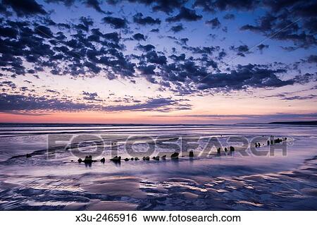 Westward Ho! shipwreck exposed at low tide, North Devon, England. Thought to date from the 1700s. View Large Photo Image Stock Photograph - Westward Ho! shipwreck exposed at low tide, North Devon, England. Thought to date from the 1700s.. Fotosearch