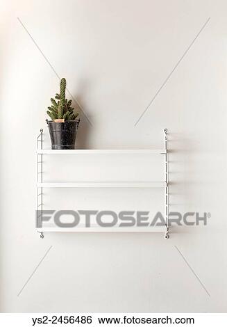 White wall in home interior. Empty bookshelf with a cactus. View Large Photo Image Stock Photograph - White wall in home interior. Empty bookshelf with a cactus.. Fotosearch