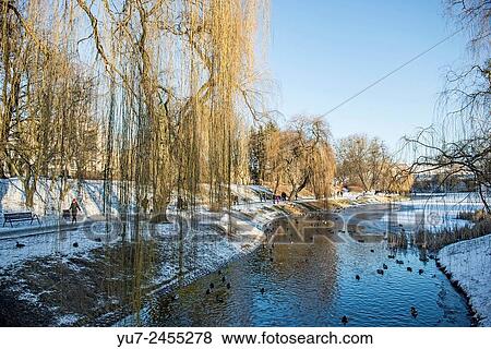 Winter time in Moczydlo Park, Wola District in Warsaw, Poland. View Large Photo Image Stock Photo - Winter time in Moczydlo Park, Wola District in Warsaw, Poland.. Fotosearch