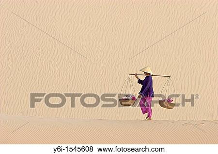 Stock Photo - Woman with conical hat carries flowers in pannier baskets across white sand dunes near Mui Ne Vietnam. Fotosearch