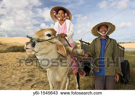 Young girl in conical hat rides bullock pulling cart white sand dunes near Mui Ne south east Vietnam View Large Photo Image Stock Image - Young girl in conical hat rides bullock pulling cart white sand dunes near Mui Ne south east Vietnam. Fotosearch