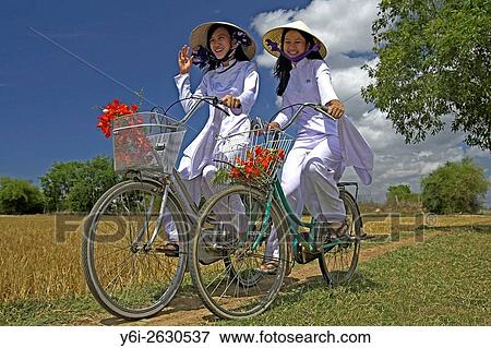 Young women in conical hats and traditional white ao dai costume ride bicycles in rice fields near Phan Thiet Vietnam. View Large Photo Image Stock Photo - Young women in conical hats and traditional white ao dai costume ride bicycles in rice fields near Phan Thiet Vietnam.. Fotosearch