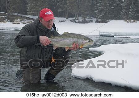 A 鱒魚 漁夫 欽佩 他的 肥胖 彩虹鮭屬魚類魚 以前 釋放 它 背 進 The Kenai 河 上 A 多雪 冬天 Day 種類最齊全的圖像