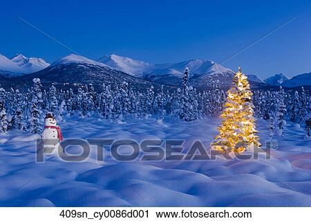 Christmas tree standing on snow covered tundra at twilight, spruce ...