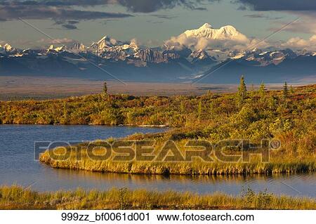 Russian Taiga Has Spruces Pines And Larches Depending On The Region While The Eastern Siberian Taiga Is A Vast Larch Forest D Boreal Forest Landscape Biomes