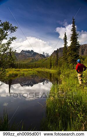 Man Standing Next To A Small Pond Off The Nabesna Road In Wrangell St Elias National Park With Skookum Volcano In The Back Ground Southcentral Alaska Summer Stock Image 999zz Eh0095d001 Fotosearch