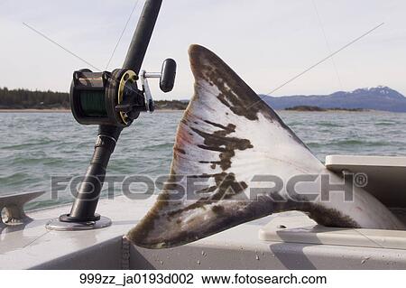 halibut rod and reel