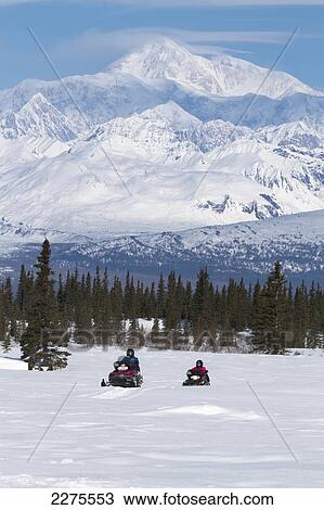 Couple Snowmobiling In Denali State Park With The Alaska Range And Mt Mckinley In The Background Southcentral Alaska Spring Stock Image