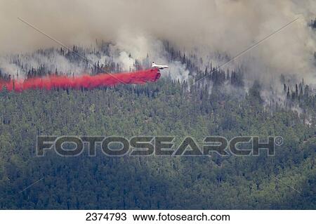 P3 aircraft dumps retardant to suppress the Hastings wildland forest Sns-Brigh10