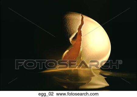 Stock Image - egg Cracked, yolk, shell, egg white, dramatic, moody, close-up. Fotosearch
