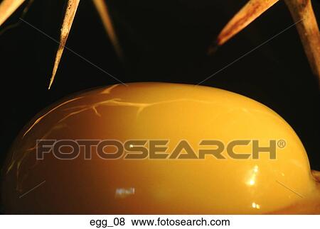 egg, yolk, tight close-up, yellow, odd, thorns, cooking View Large Photo Image Stock Photo - egg, yolk, tight close-up, yellow, odd, thorns, cooking. Fotosearch