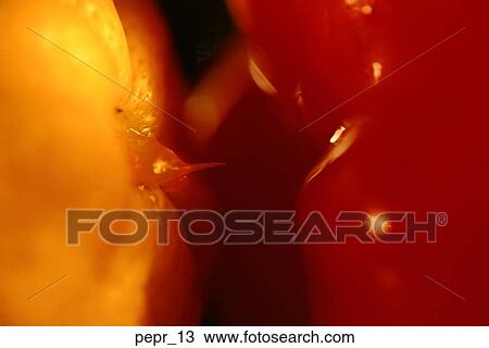 Stock Image - pepper, red, close-up, food, cooking, unusual, vegetable. Fotosearch