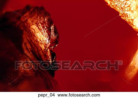 red pepper, slice, abstract, composition, vegetable, food, cooking View Large Photo Image Picture - red pepper, slice, abstract, composition, vegetable, food, cooking. Fotosearch