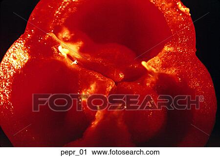 red pepper, slice, inside, vegetable, food, cooking, close-up View Large Photo Image Stock Image - red pepper, slice, inside, vegetable, food, cooking, close-up. Fotosearch
